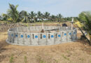 Reliance Safeguards Lions: Constructs Parapets Around 1534 Open Wells in Gir Protected Area