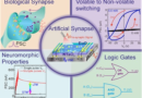 INST’s new artificial synaptic chip to help transform information tech