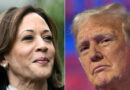 Trump, Harris locked in tight race for the White House: Polls