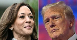 Trump, Harris locked in tight race for the White House: Polls