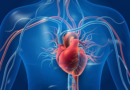 Gujarat govt reviews statewide expansion of cardiac care