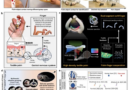 Chinese scientists develop human-like robotic hand with smart palm-finger coordination