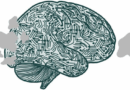 New study on brain’s visual regions can help build effective AI systems