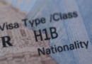 US lawmaker introduces bill seeking major H-1B overhaul