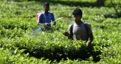 Key anti-virus defence system in plants explored by CCMB researchers