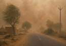Rajasthan hit by powerful dust storm; winds touch 102 kmph in several areas