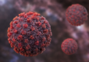 Hantavirus unlikely to reach pandemic scale, no cases in India so far: Report