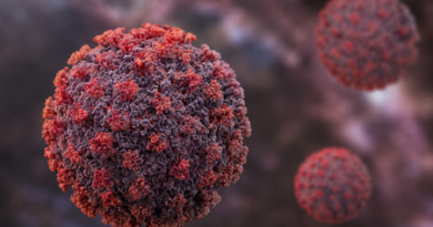 Hantavirus unlikely to reach pandemic scale, no cases in India so far: Report