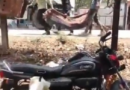 Viral video exposes lapse in mortuary services at MP hospital, Collector orders action