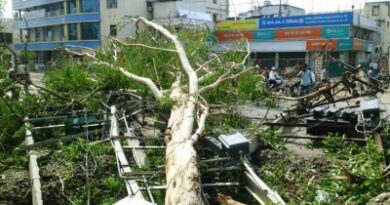 Sudden weather shift brings relief from heat, storm havoc leaves 13 dead in Bihar