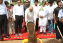 Ahmedabad targets plantation of 50 lakh trees as Gujarat CM launches expanded urban green, air quality drive