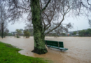 Massive swells, gales batter New Zealand capital