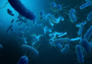Shigella alert in Kerala, health department steps up vigil