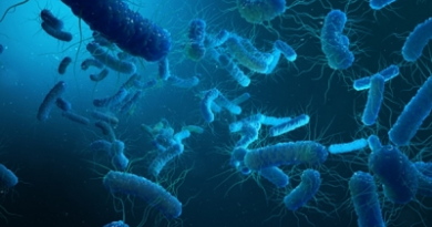 Shigella alert in Kerala, health department steps up vigil