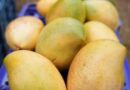 India exports Neelam, Totapuri mangoes to Maldives for first time