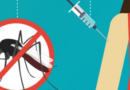 India approves first dengue vaccine QDENGA for people aged 4-60 years