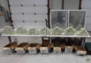 Canada busts major cross-border drug network, seizes nearly C$140 million worth of narcotics