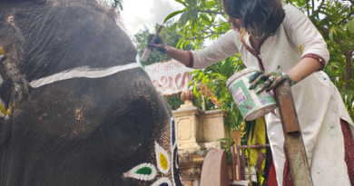 Quiet canvases: Young artist paints Ahmedabad Rath Yatra’s gentle giants as lakhs watch
