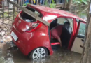 Bengal: Woman dies after car falls into pond while learning to drive