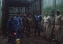 TN: Nilgiris tiger declared man-eater after two fatal attacks