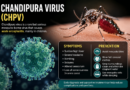 Gujarat: Chandipura virus claims 27 lives, 41 cases confirmed