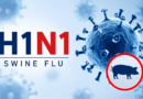 Gujarat Minister says H1N1 situation under control, orders hospitals to strengthen preparedness