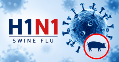 Gujarat Minister says H1N1 situation under control, orders hospitals to strengthen preparedness