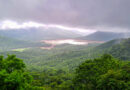 Heavy rain, strong winds to lash Western Ghats districts of TN till August 6