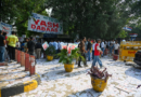DUSU elections 2026: Over 2.75 lakh students to vote amid tight security
