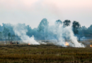 Punjab records 52 stubble-burning fires; one FIR filed