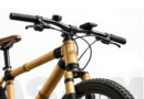Assam govt launches bamboo bicycle initiative for green future
