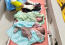 Gujarat: Mother delivers triplets with help from 108 emergency team in Rajkot