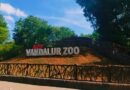 Bird flu confirms at TN’s Vandalur zoo; public entry suspended for two days
