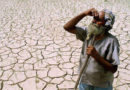 Drought in Rajasthan: Ashok Gehlot questions government, Kirodi Lal Meena responds