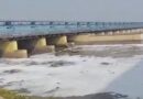 Toxic foam spotted on Yamuna near Kalindi Kunj
